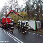 Fotka nr 2 z 12