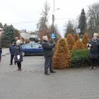 zdjęcie nr 146