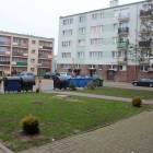 Fotka nr 1 z 11