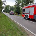 Fotka nr 1 z 3