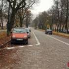zdjęcie nr 8