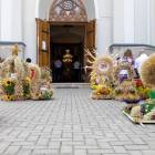 zdjęcie nr 49