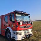 Fotka nr 4 z 12