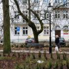 zdjęcie nr 12
