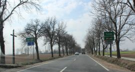 zdjęcie nr 28