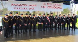 zdjęcie nr 15