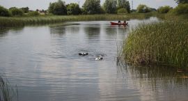 zdjęcie nr 37