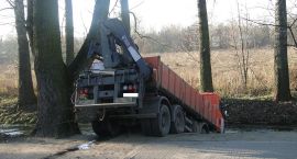 Fotka nr 1 z 9