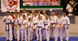 Fotka nr 2 z 11