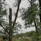 zdjęcie nr 18