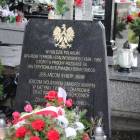 zdjęcie nr 14