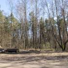 zdjęcie nr 19