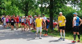 zdjęcie nr 8