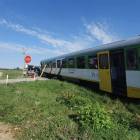 zdjęcie nr 8