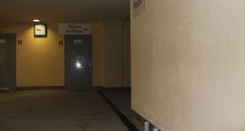 zdjęcie nr 7