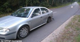 Fotka nr 3 z 5