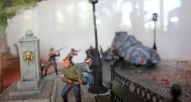 Fotka nr 5 z 15