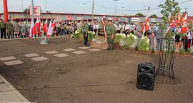 zdjęcie nr 16