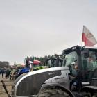 zdjęcie nr 11