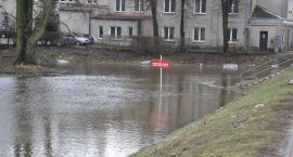 zdjęcie nr 11