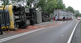 zdjęcie nr 12