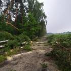 zdjęcie nr 30