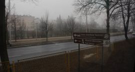 Fotka nr 1 z 139