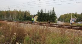 Fotka nr 0 z 12