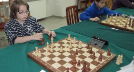 Fotka nr 3 z 13