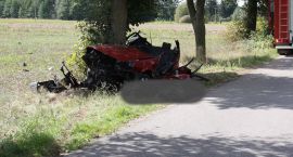 Fotka nr 2 z 5