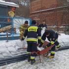 Fotka nr 3 z 17