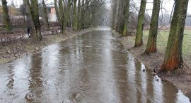 zdjęcie nr 13