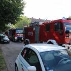 Fotka nr 1 z 21