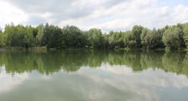 IMG_1849