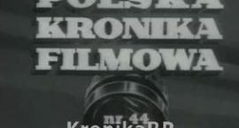 pkf 44 90