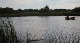 zdjęcie nr 62