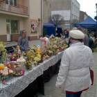 zdjęcie nr 45