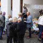 zdjęcie nr 14
