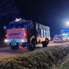 Fotka nr 5 z 10