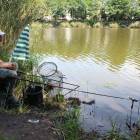zdjęcie nr 33