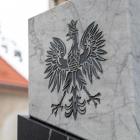 Fotka nr 5 z 10
