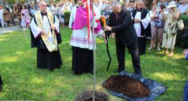 zdjęcie nr 47