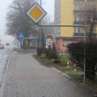 zdjęcie nr 8