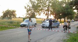 zdjęcie nr 8