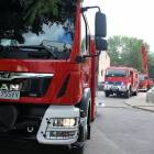 Fotka nr 2 z 16