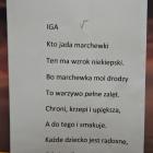 zdjęcie nr 106