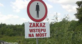 zdjęcie nr 8