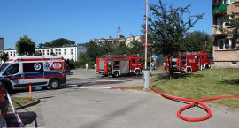 zdjęcie nr 92