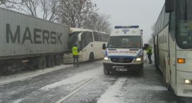 Fotka nr 2 z 3