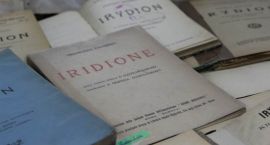 zdjęcie nr 16